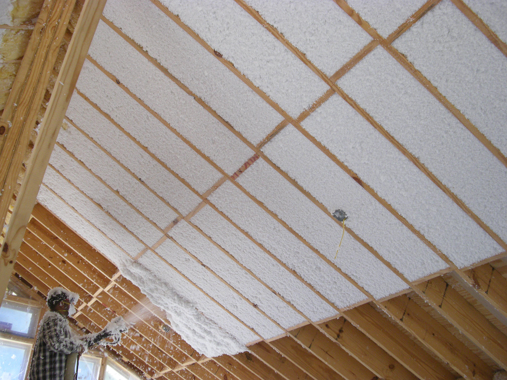 Insulation (Residential) Acoustical Specialties and Supply
